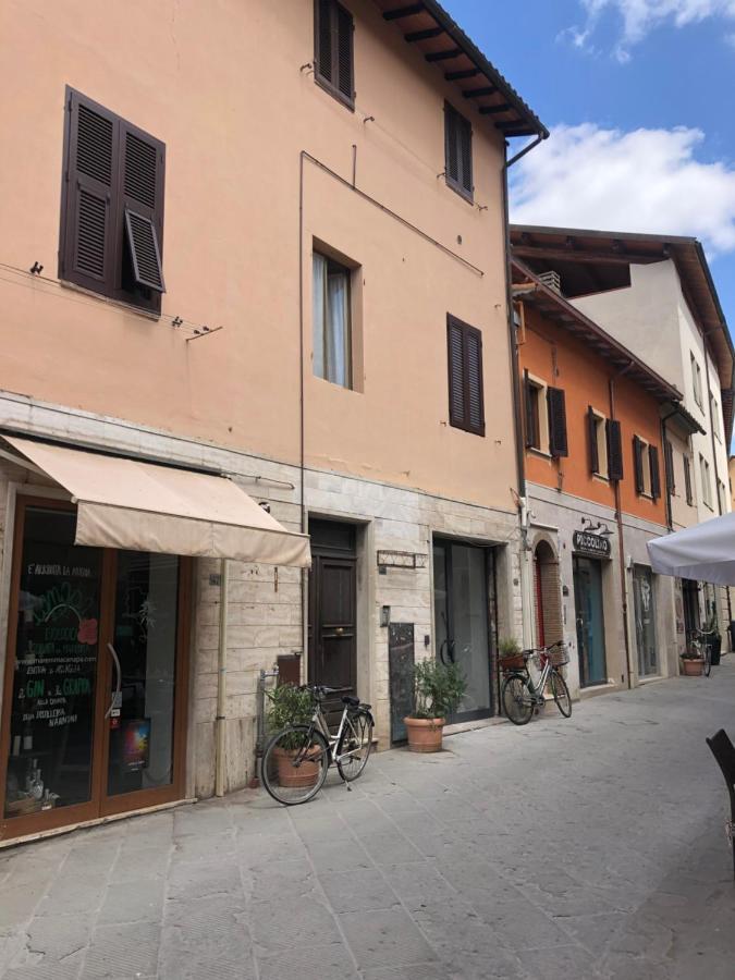 Zero45 San Martino Apartment Grosseto Eksteriør billede